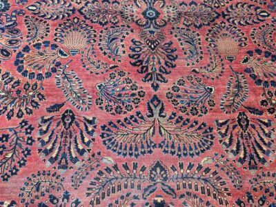 Pxl 20220416 150031913