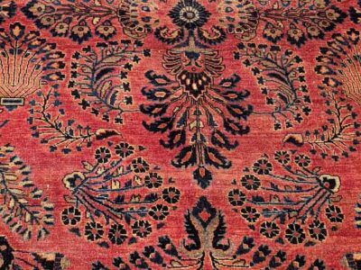 Pxl 20220416 150036256