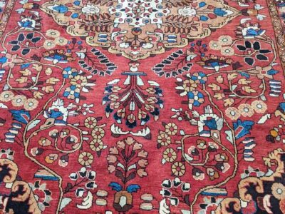 Pxl 20220416 154348214