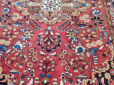 Pxl 20220416 154349185